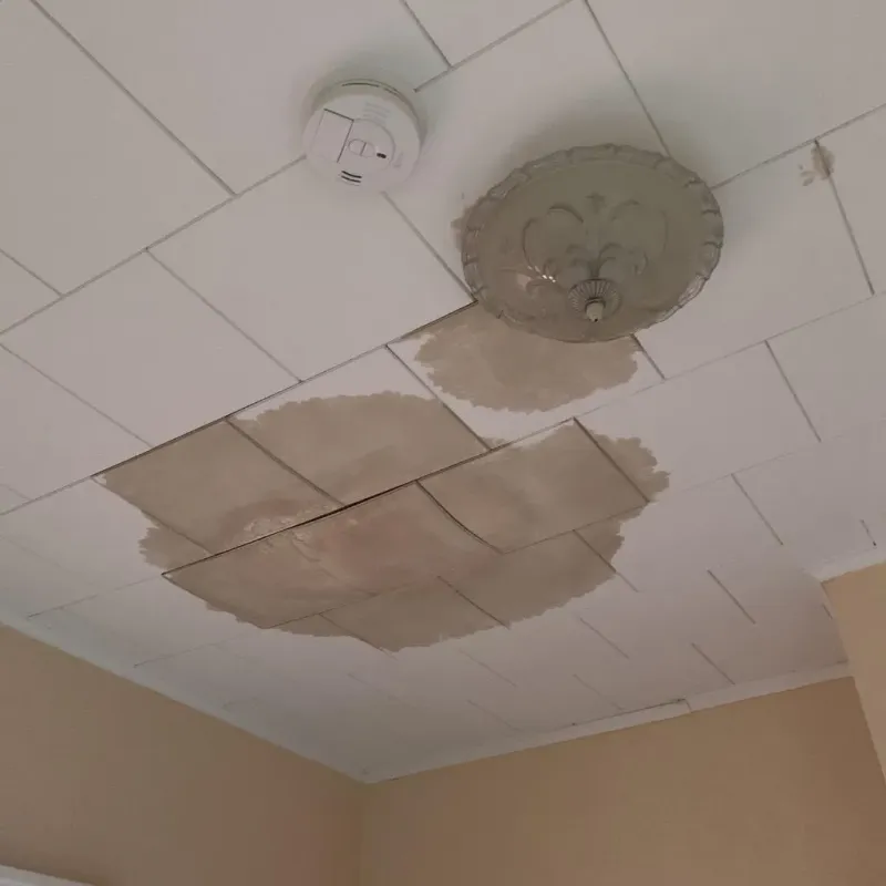 Ceiling Water Damage Repair in Hollymead, VA