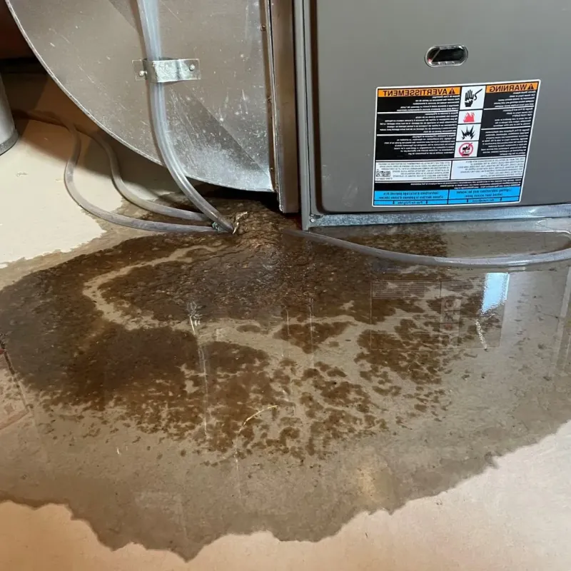 Pipe Burst and Leak Restoration in Hollymead, VA